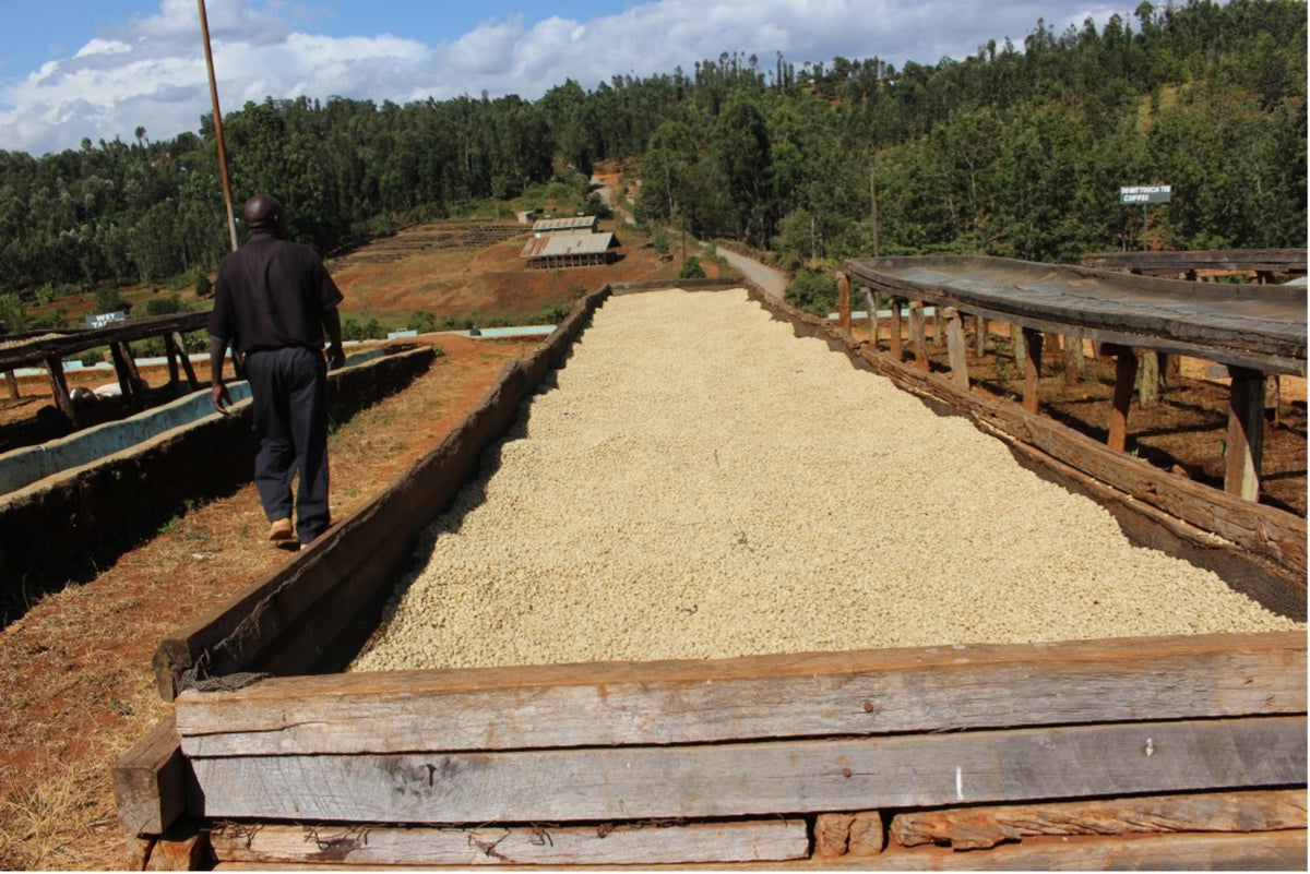 Riakiberu