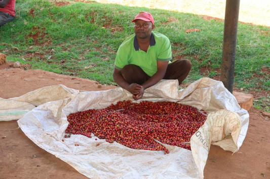 Kiamugumo
