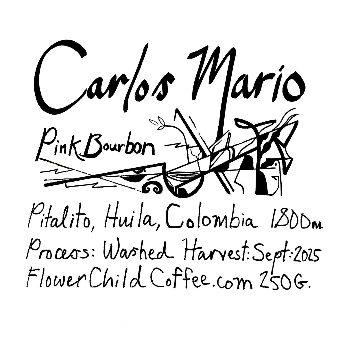Carlos Mario