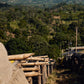 Rumudamo
