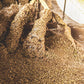 Danche - Honey