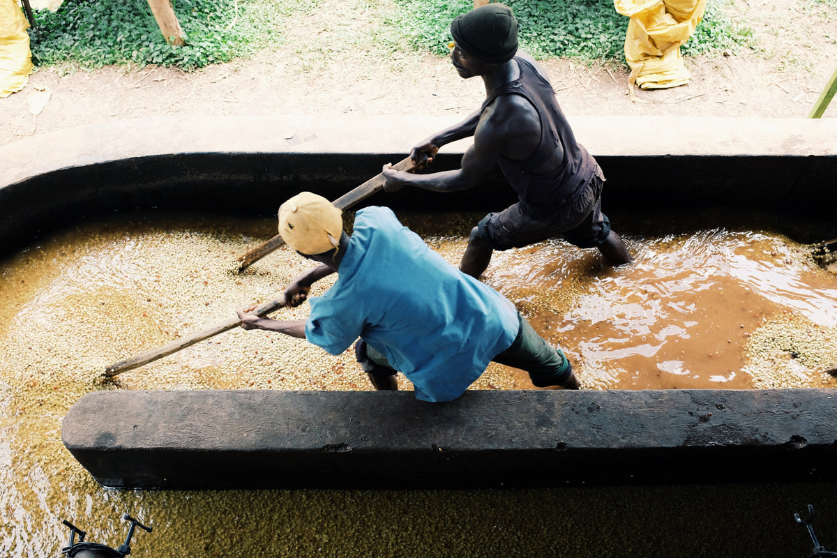 Nkanda