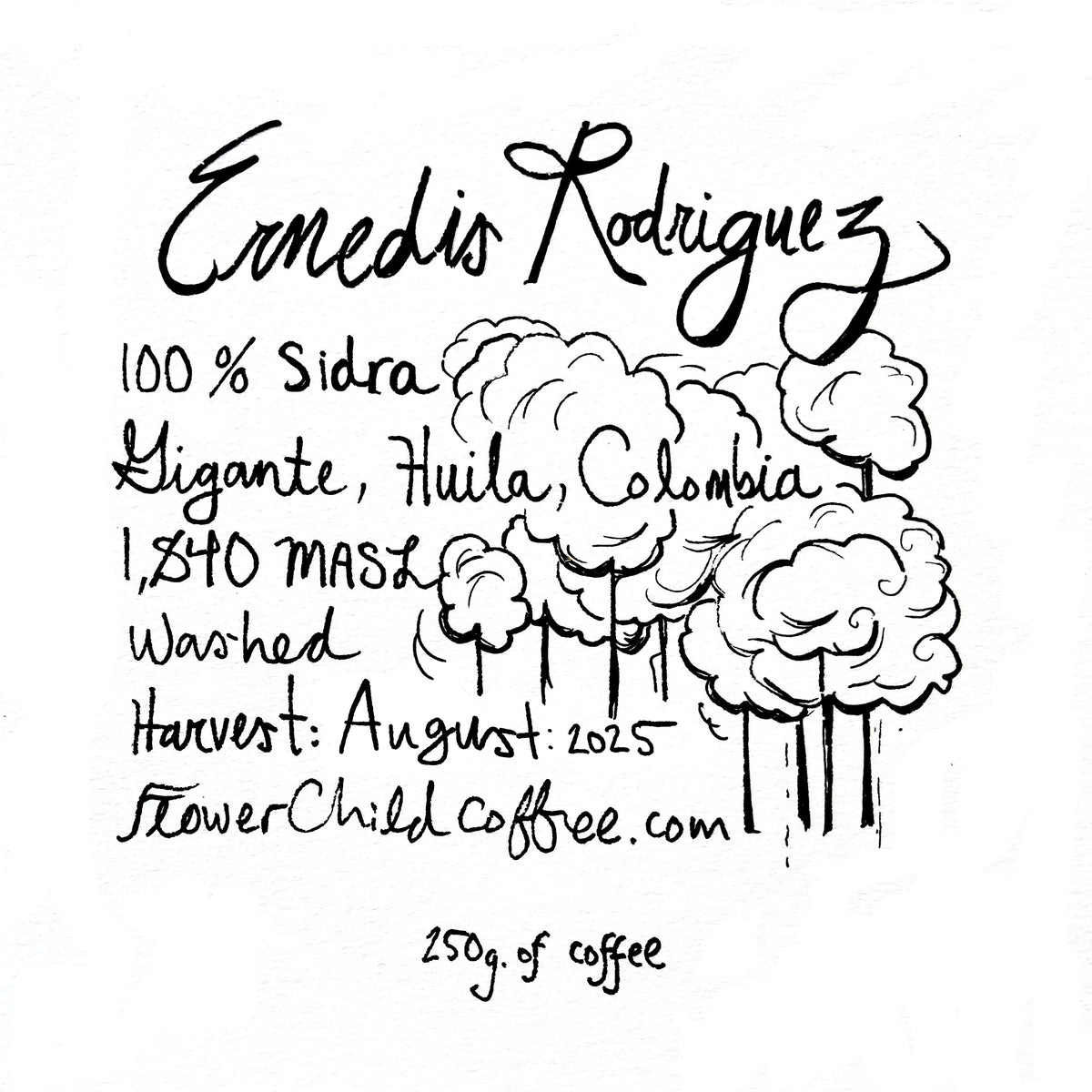 Ernedis Rodriguez - Sidra