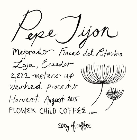 Pepe Jijon Mejorado