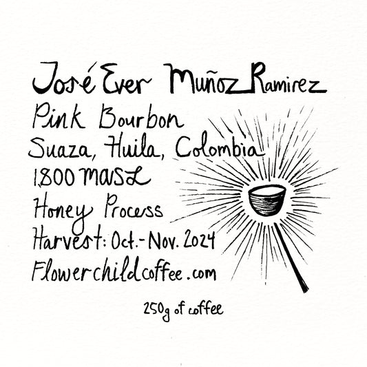 Jose Ever Honey Pink B.