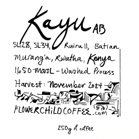 Kayu