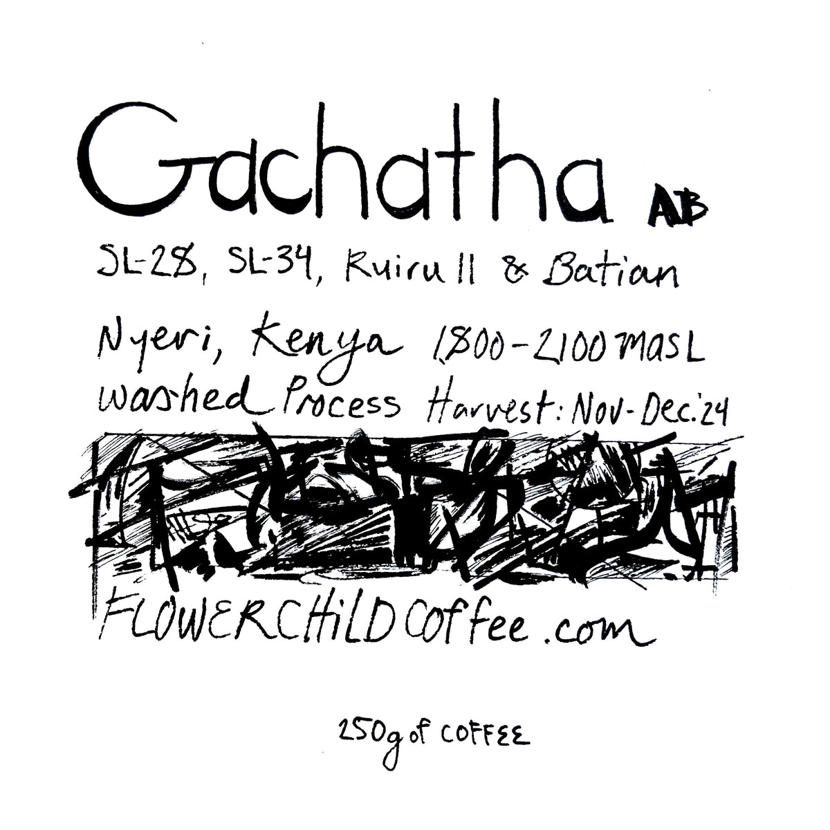 Gachatha