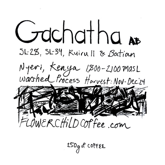 Gachatha