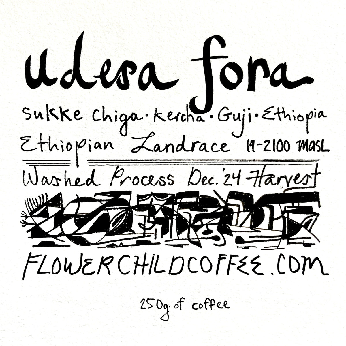 Udesa Fora