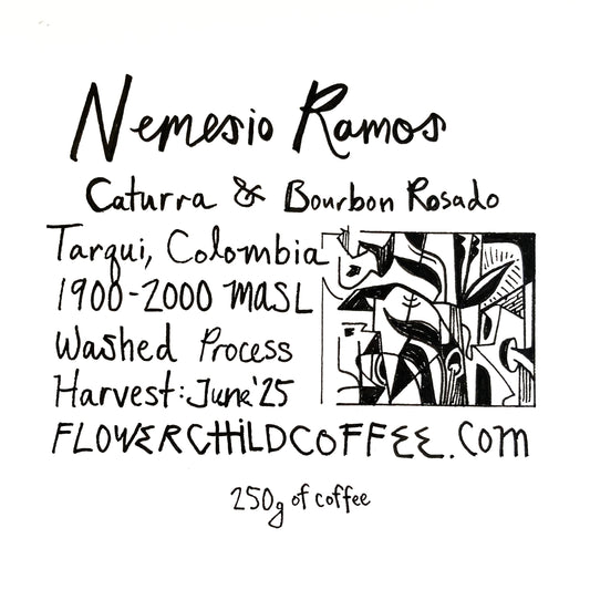 Nemesio Ramos Trujillo