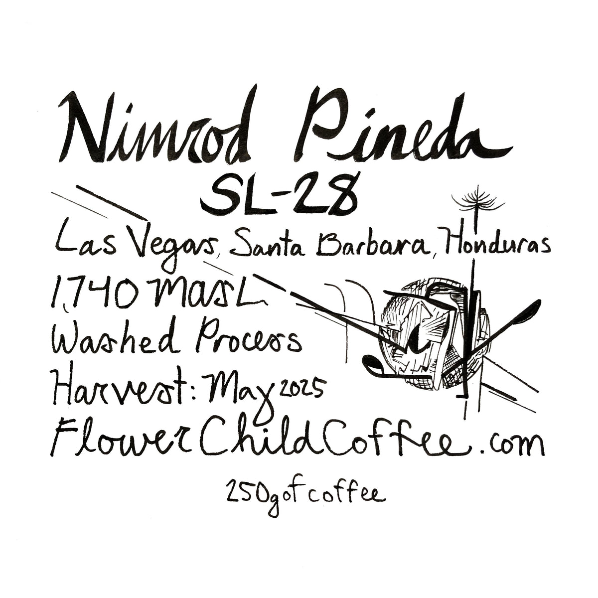 Nimrod Pineda