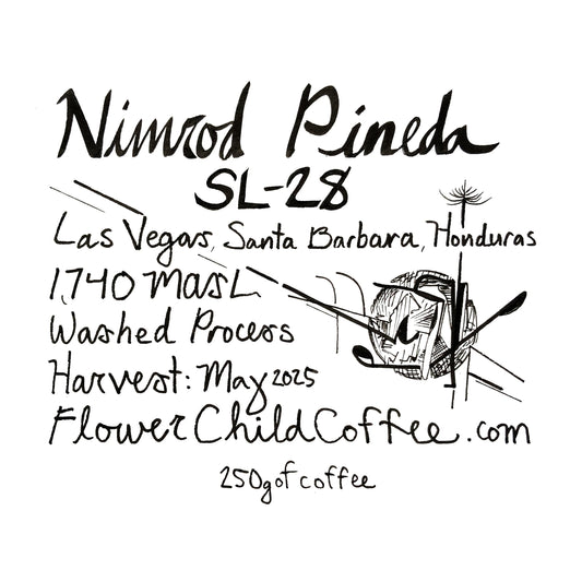 Nimrod Pineda