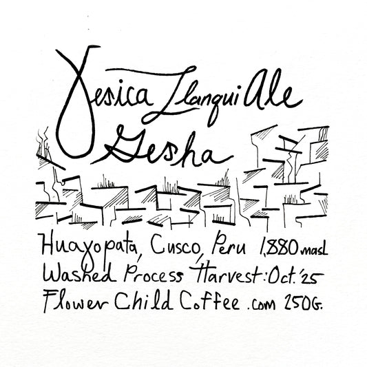 Yesica Ale Llanqui - Gesha
