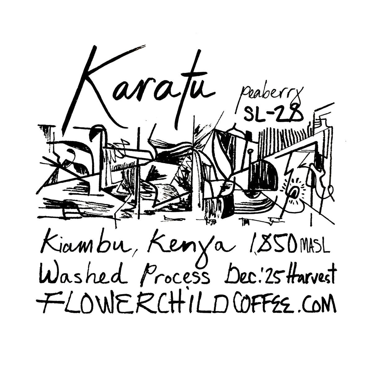 Karatu - SL28 Peaberry