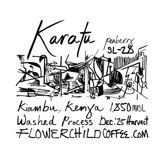 Karatu - SL28 Peaberry