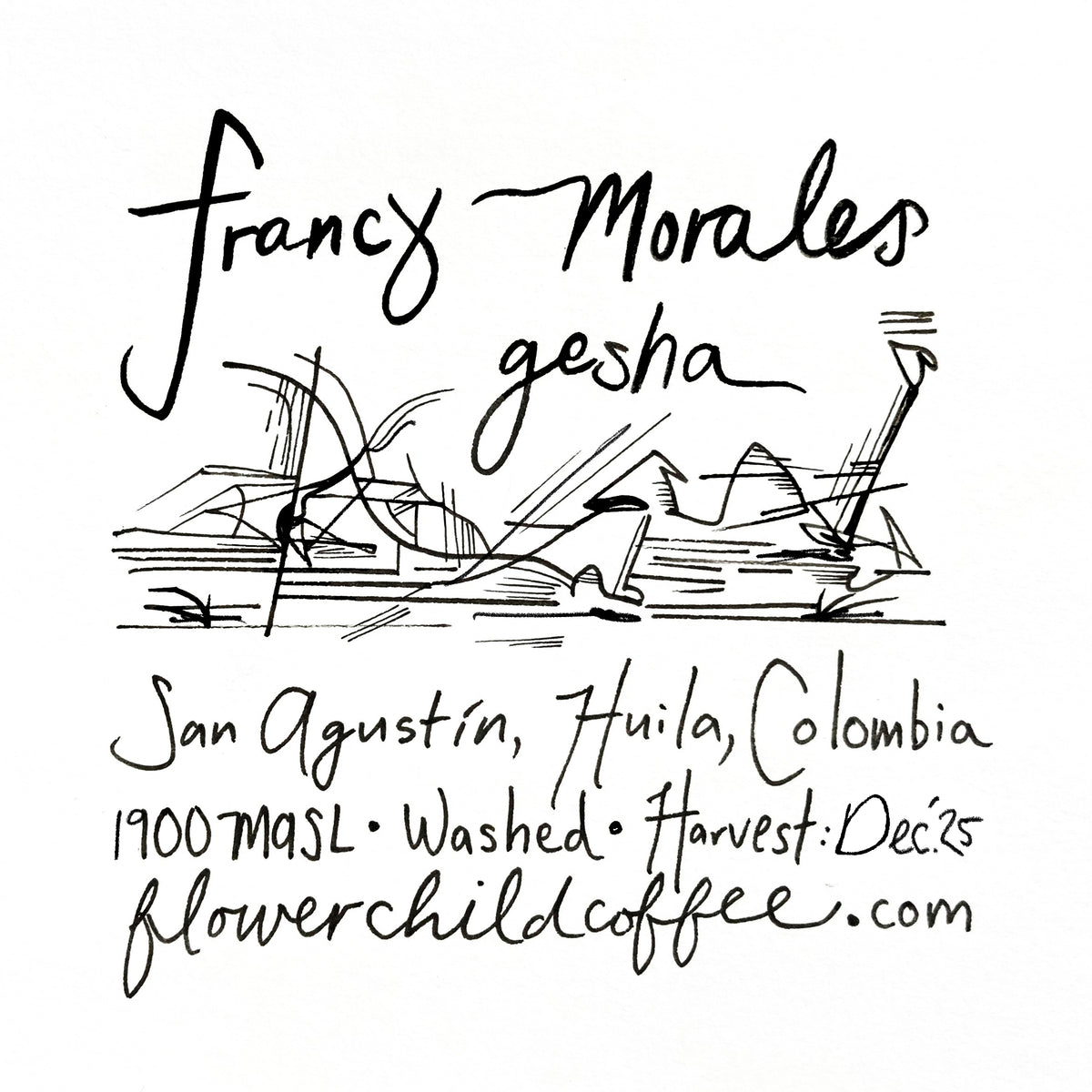 Francy Morales - Gesha