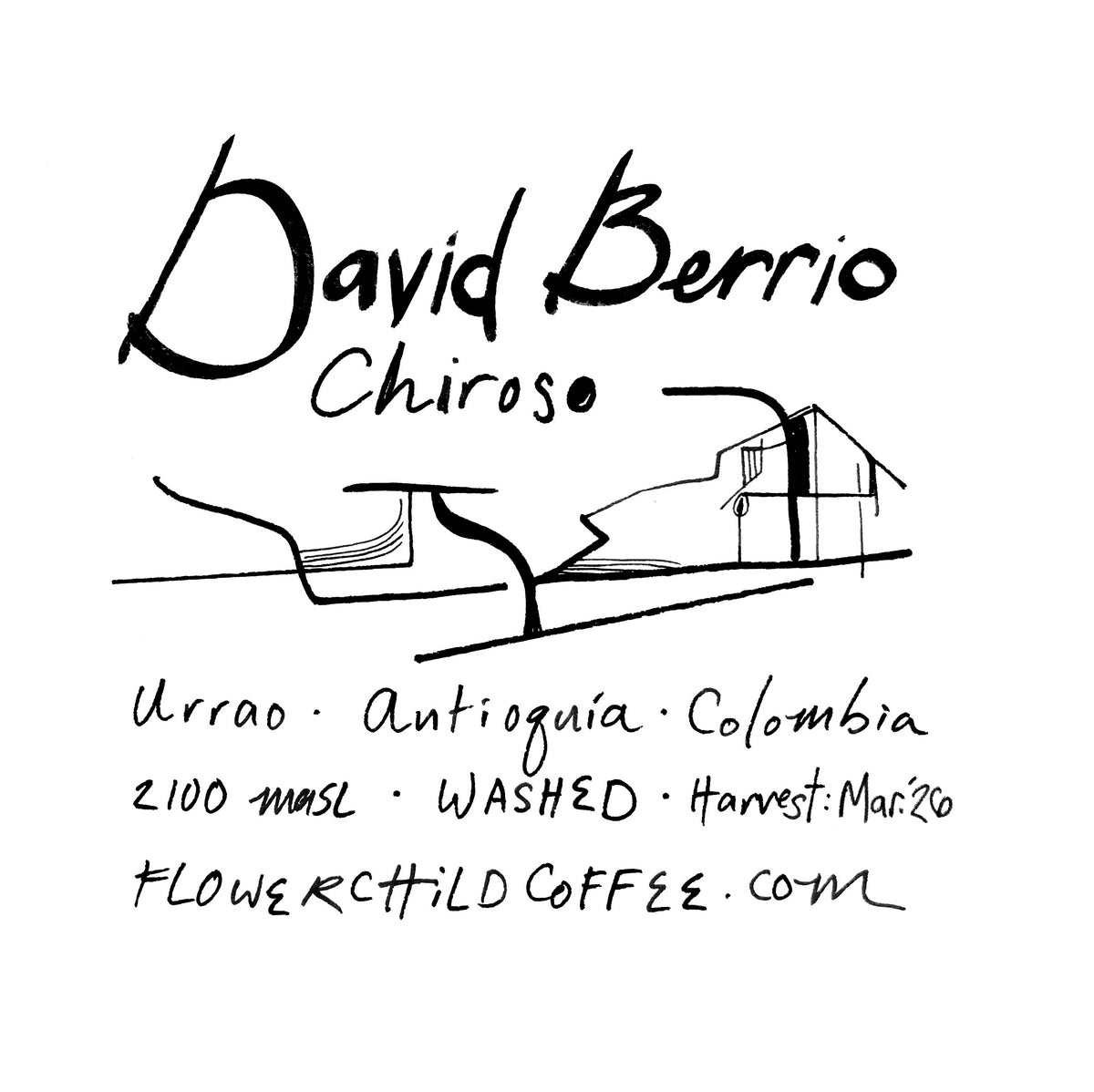 David Berrio - Chiroso