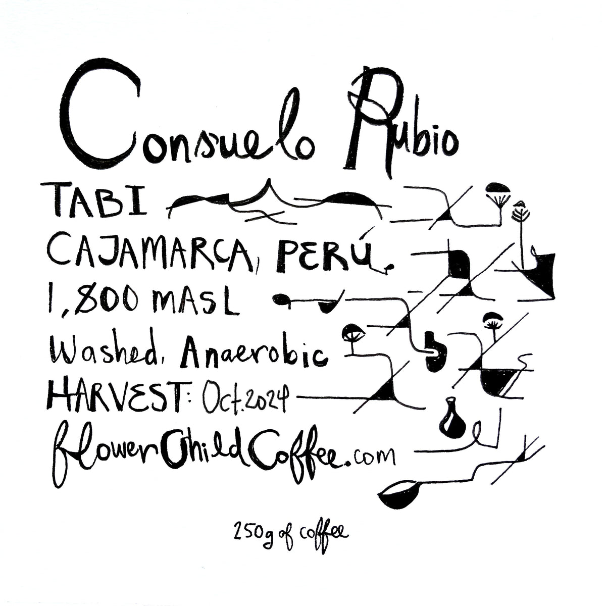 Consuel Rubio Tabi