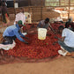 Kiamugumo