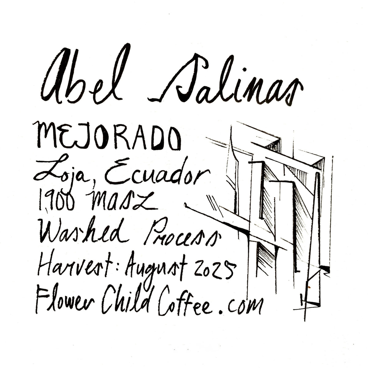 Abel Salinas - Mejorado