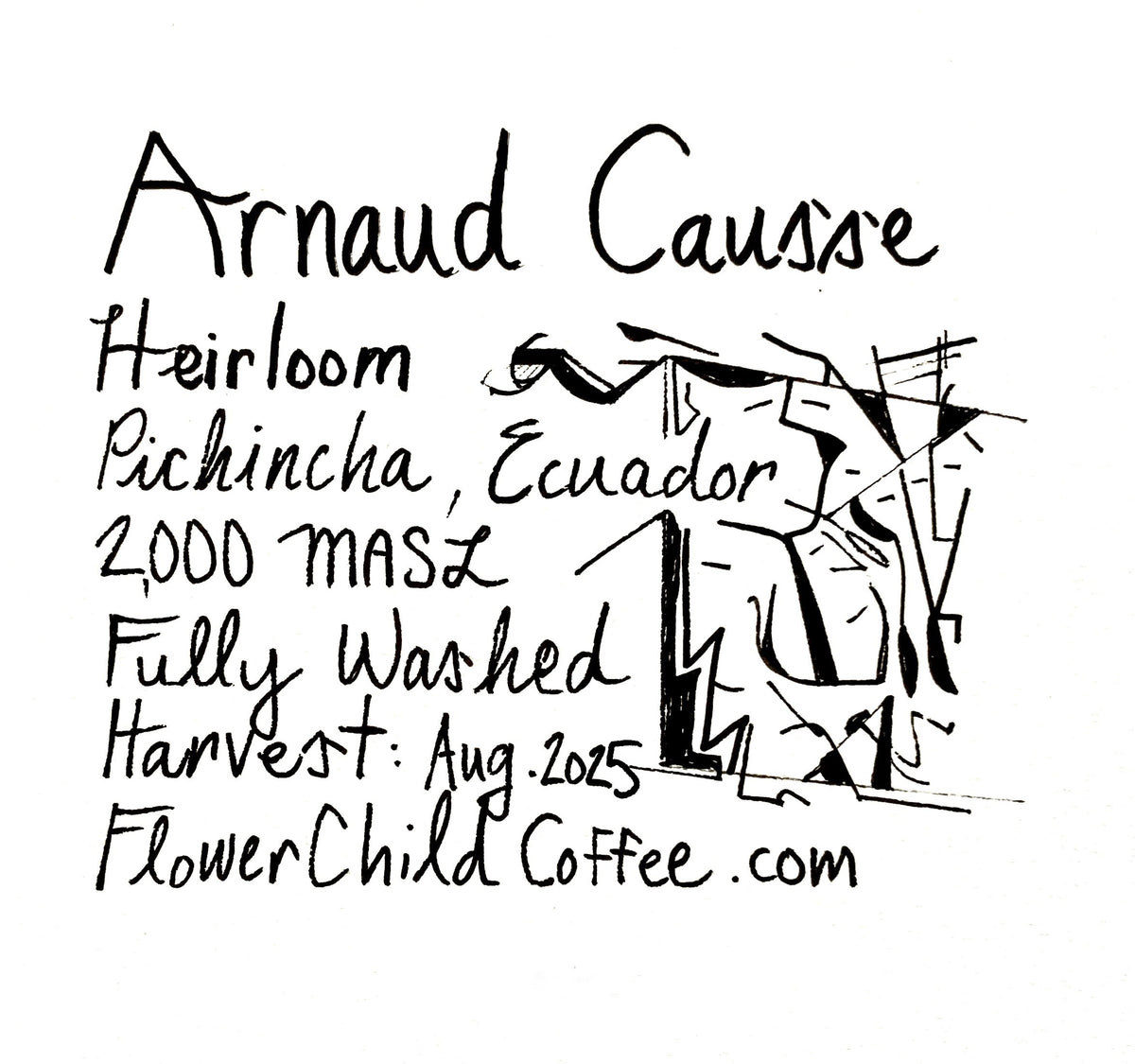 Arnaud Causse - Heirloom