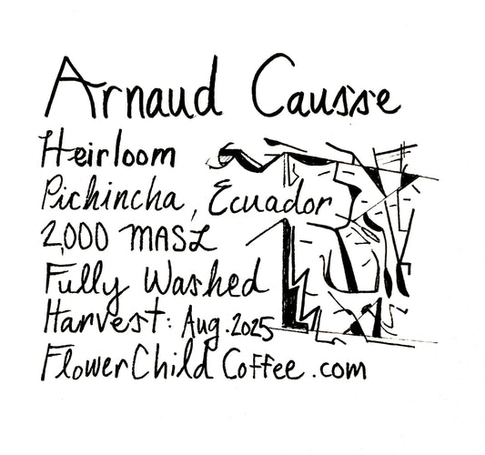 Arnaud Causse - Heirloom