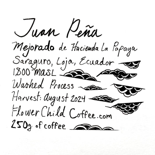 Juan Peña - Mejorado