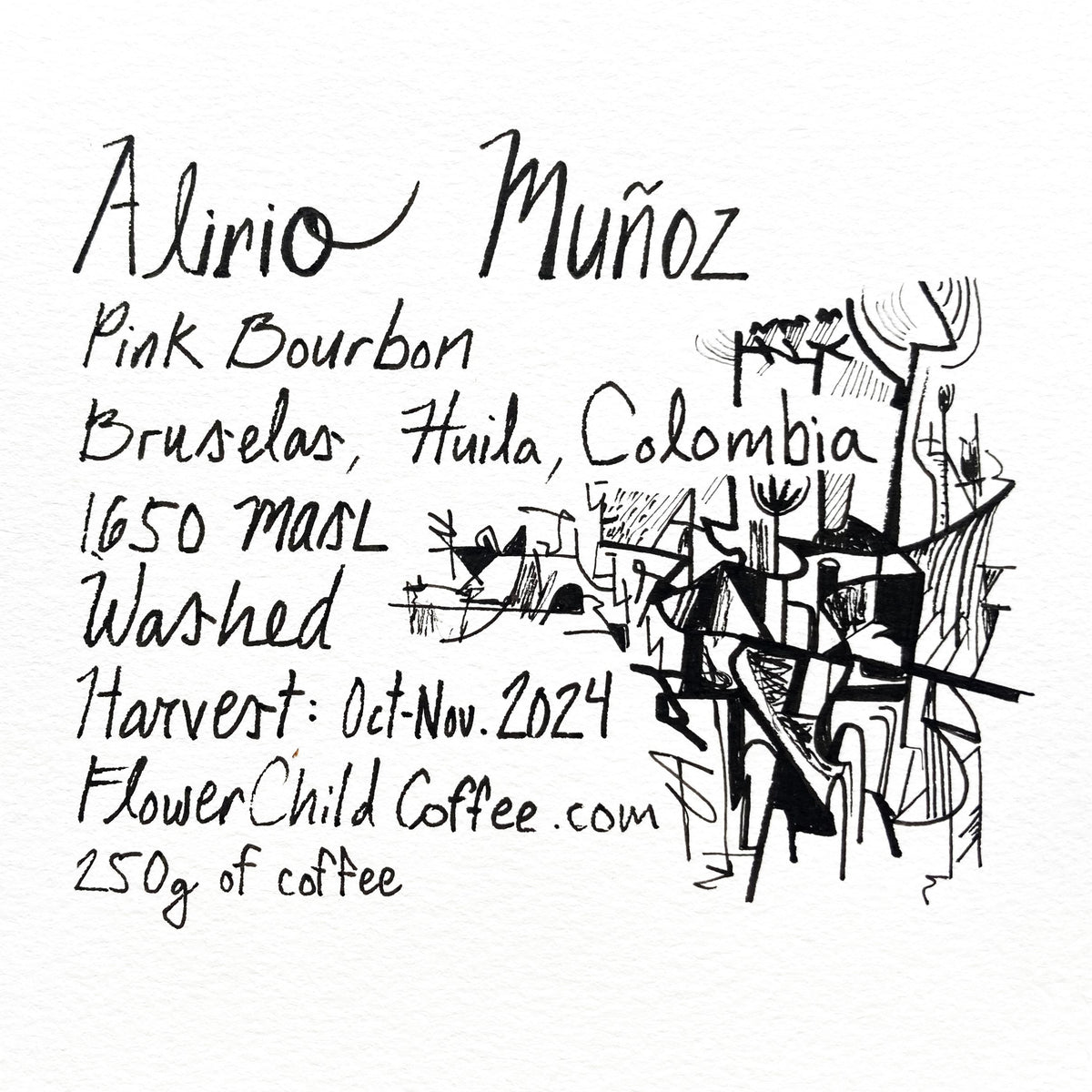 Alirio Muñoz