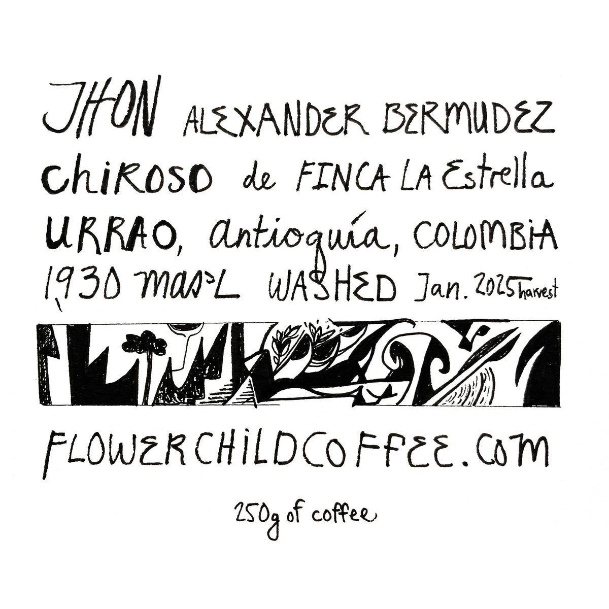 Jhon Bermudez