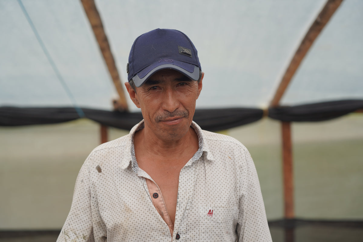 José Martínez