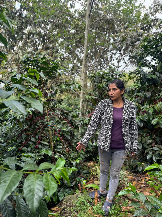 Lisbeth Mariño - SL9