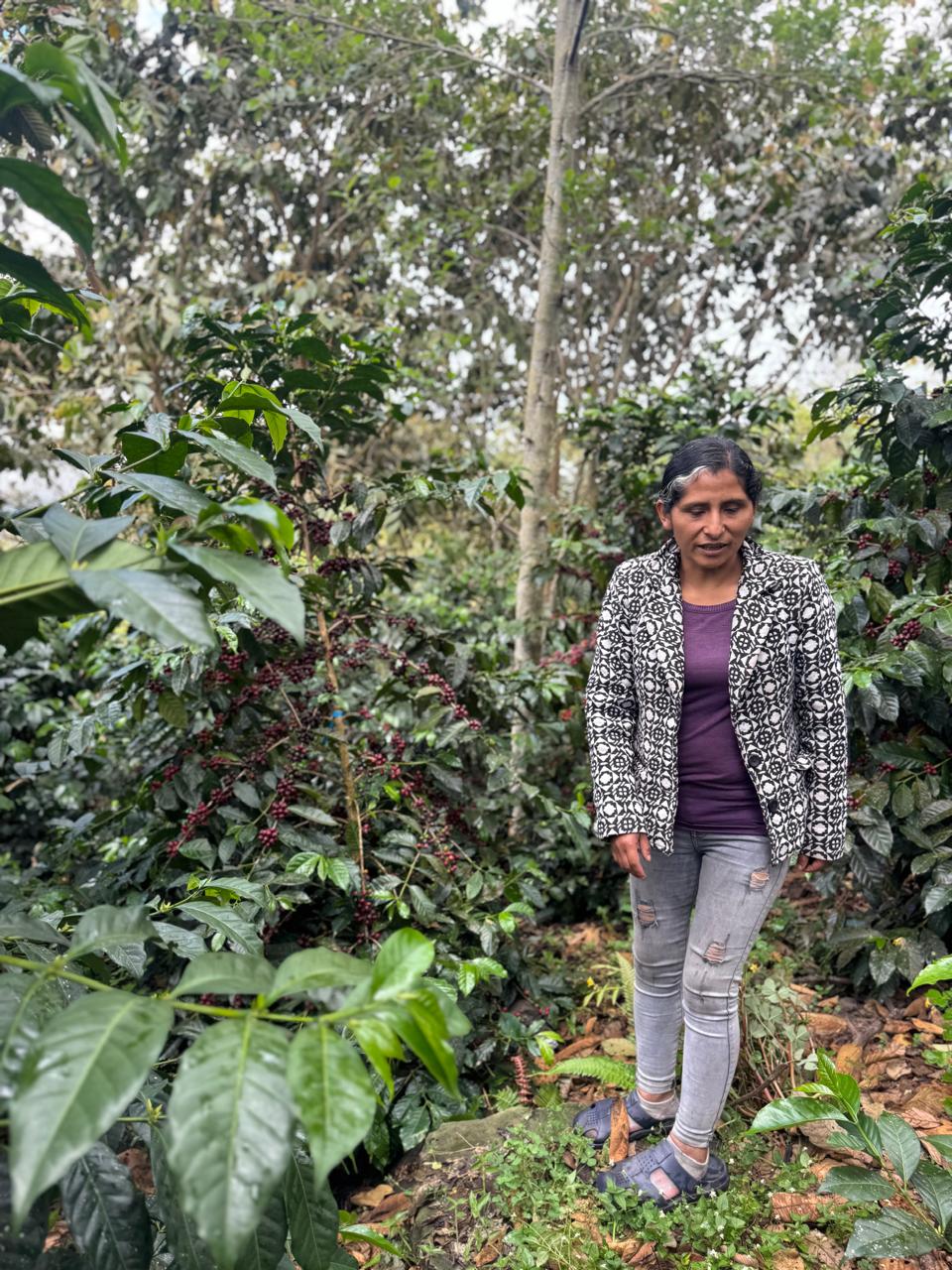 Lisbeth Mariño - SL9
