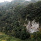 Elida Estate - Gesha