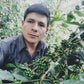 Manuel Marlo
