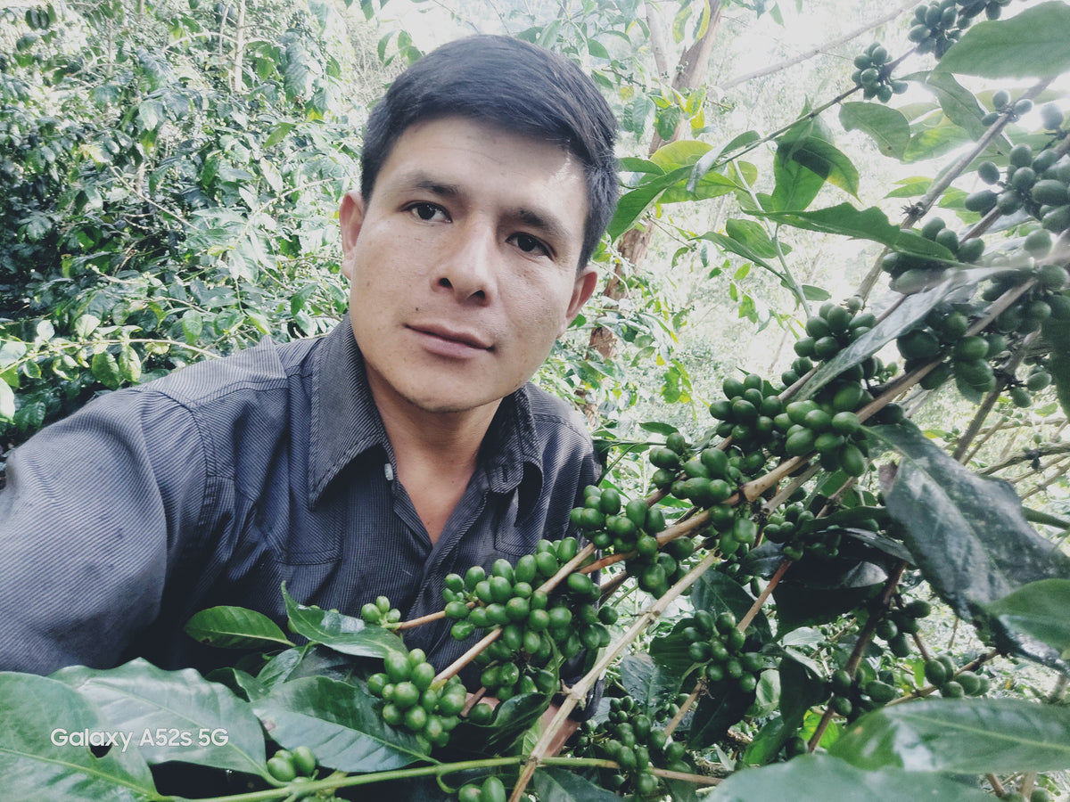 Manuel Marlo