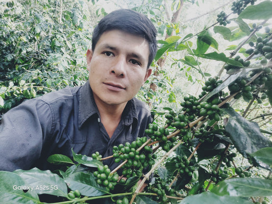 Manuel Marlo