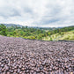 Rumudamo