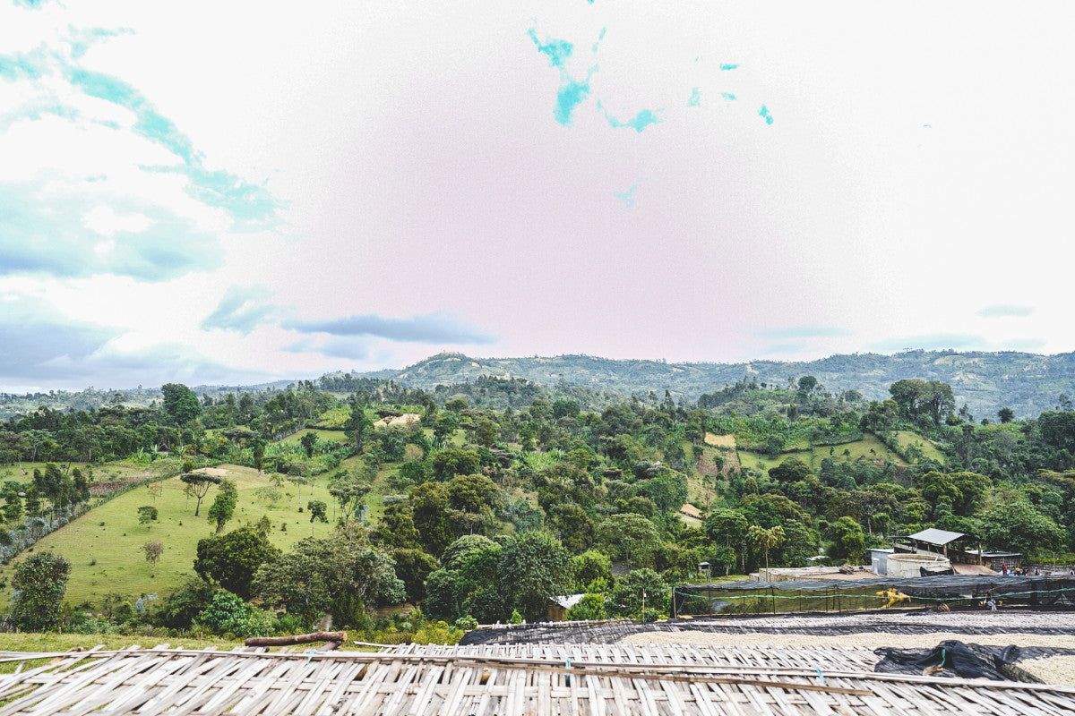 Rumudamo