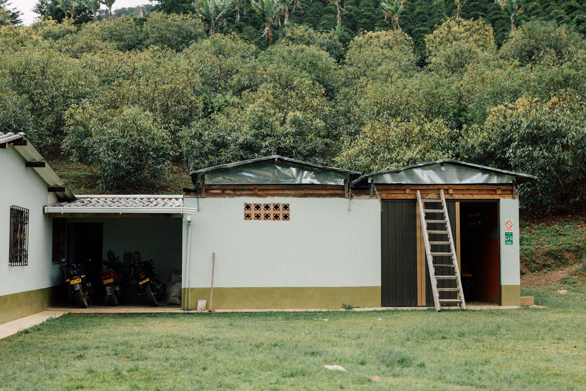Gloria Cecilia - Chiroso
